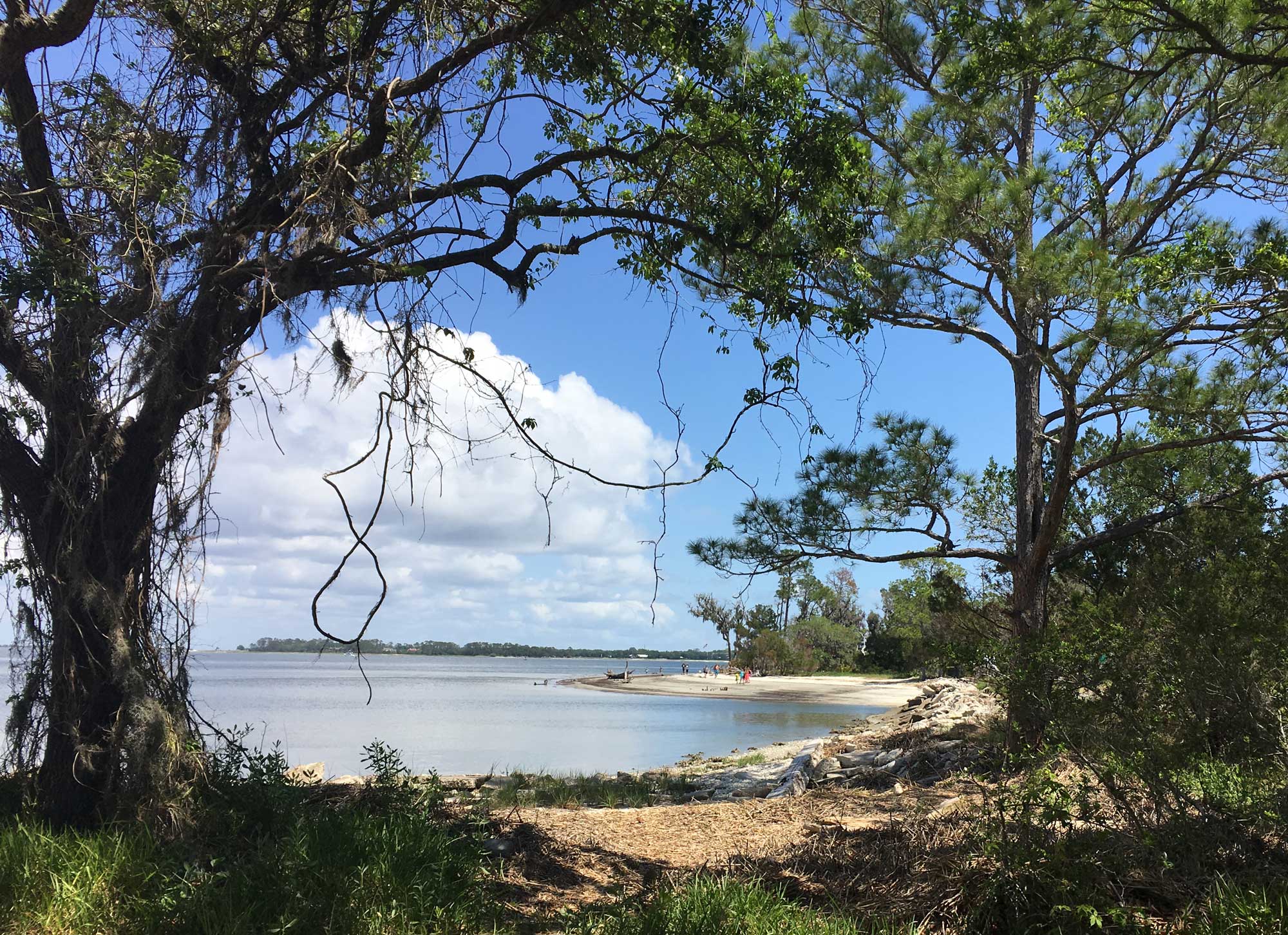 A day trip over to Jekyll Island is a must-do family activity while visiting the Golden Isles.