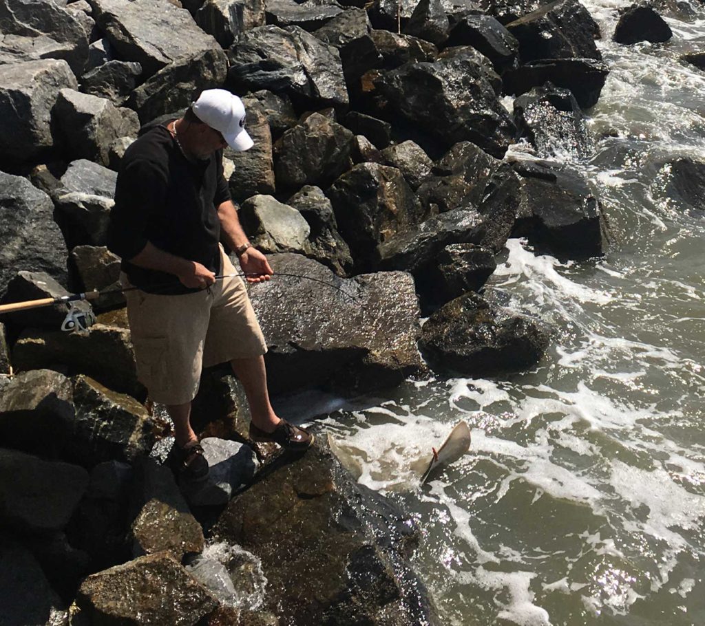 A fisherman carefully reels in a baby Stingray so that he can release him back in to the ocean at the St Simons Island pier