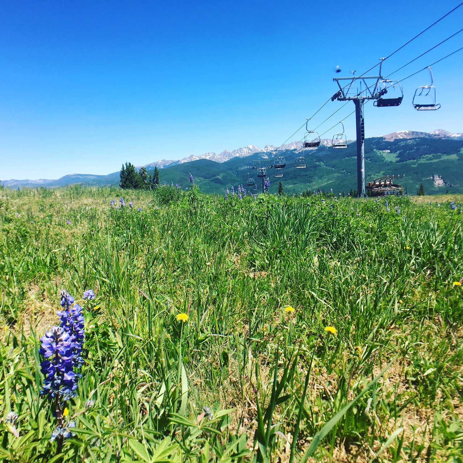 Your Vail summer family vacation really needs to include a ride up the gondola for the views!