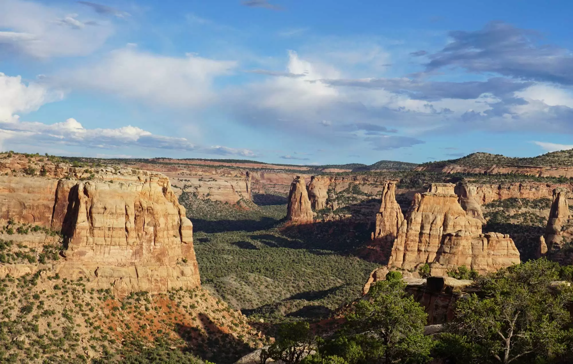 Colorado lasts many beautiful spots where you can really get in touch with nature. Sometimes you do really need to sleep in a tent and strap on some hiking boots to see these special places are their best. At Colorado National Monument we had the opportunity to see the most spectacular sunsets, a blood moon, wildlife such as Turkey Vultures, Black Widows, Mountain Goats and more, and to endure a pretty good sand storm. #visitcolorado #colorado #coloradotravel #coloradonationalmonument #nationalparks #hiking #camping