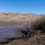 Beaches in Colorado? Yes, there are!