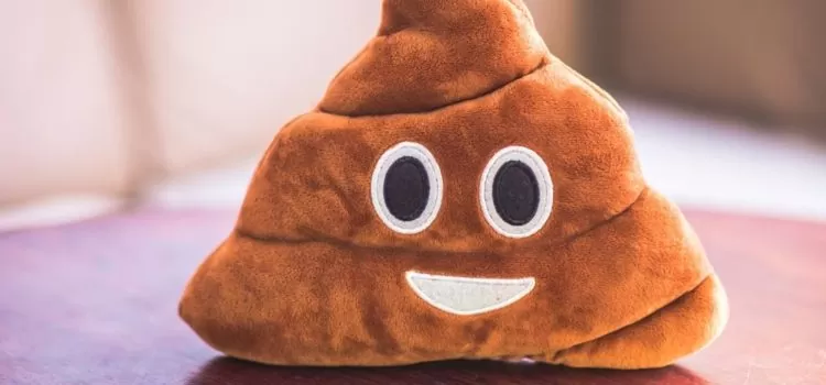 Giant poop emoji pillow shop