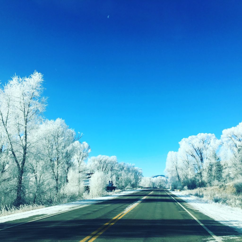 Alberi innevati al di fuori di Winter Park, Colorado.