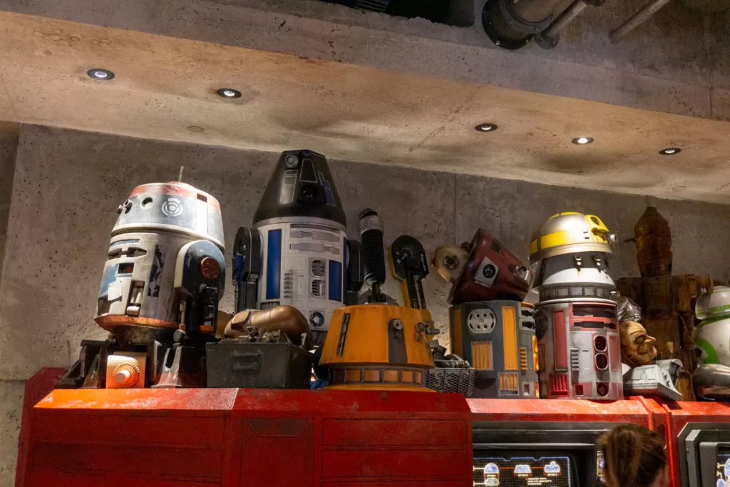 Droids at Star Wars Land