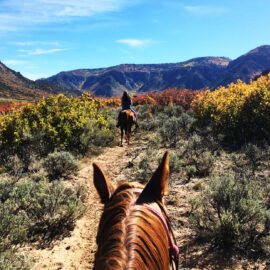 Colorado Horseback Riding Fun