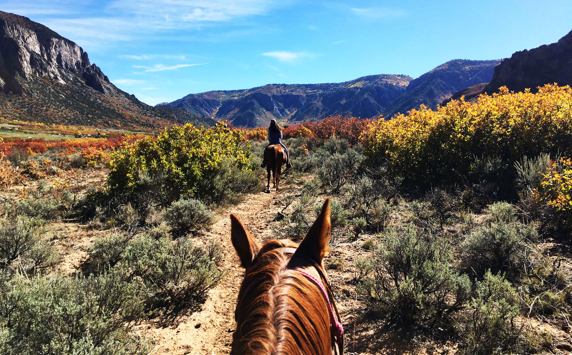 horseback riding tour denver colorado