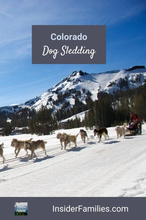 Where to Go Dog Sledding in Colorado Insider Families
