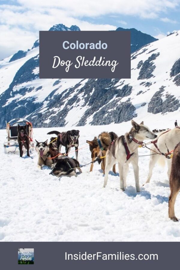Where to Go Dog Sledding in Colorado Insider Families