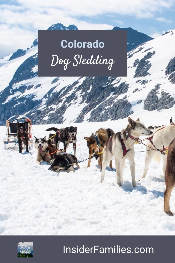 Where to Go Dog Sledding in Colorado Insider Families
