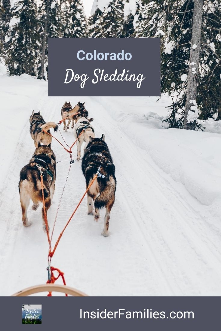 Where to Go Dog Sledding in Colorado Insider Families