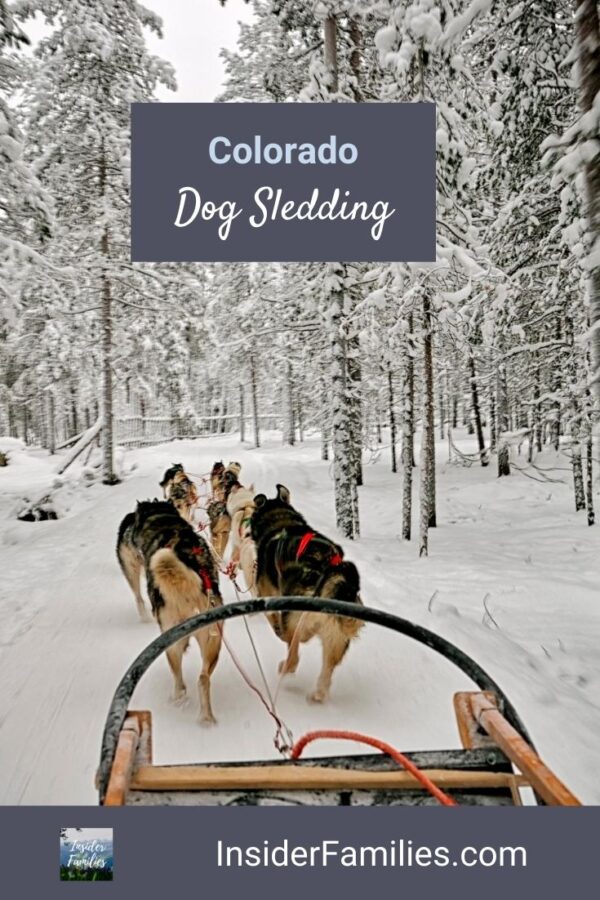 Where to Go Dog Sledding in Colorado Insider Families