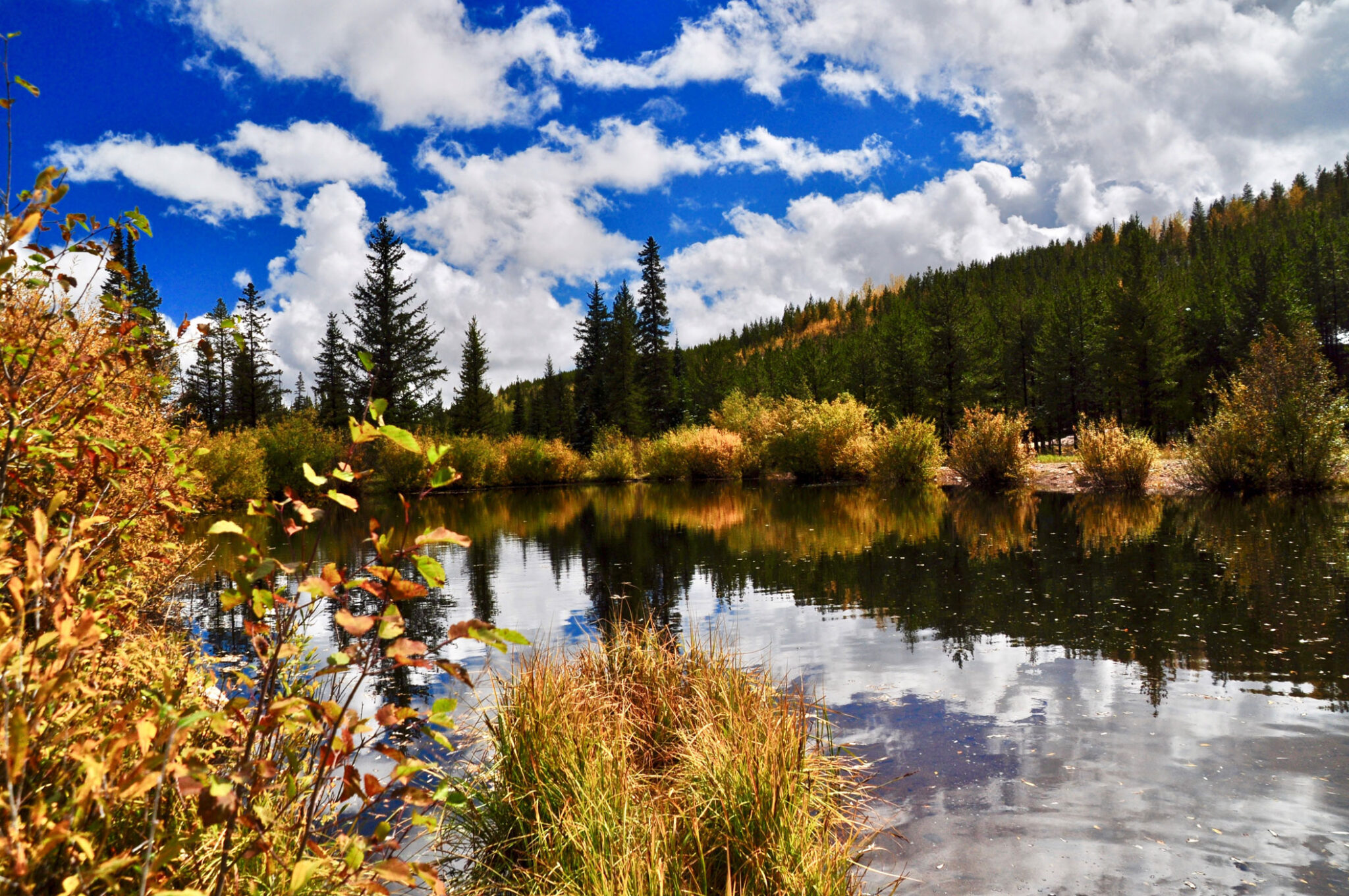 Red Feather Lakes Camping 8 Campgrounds and Cabins Insider Families