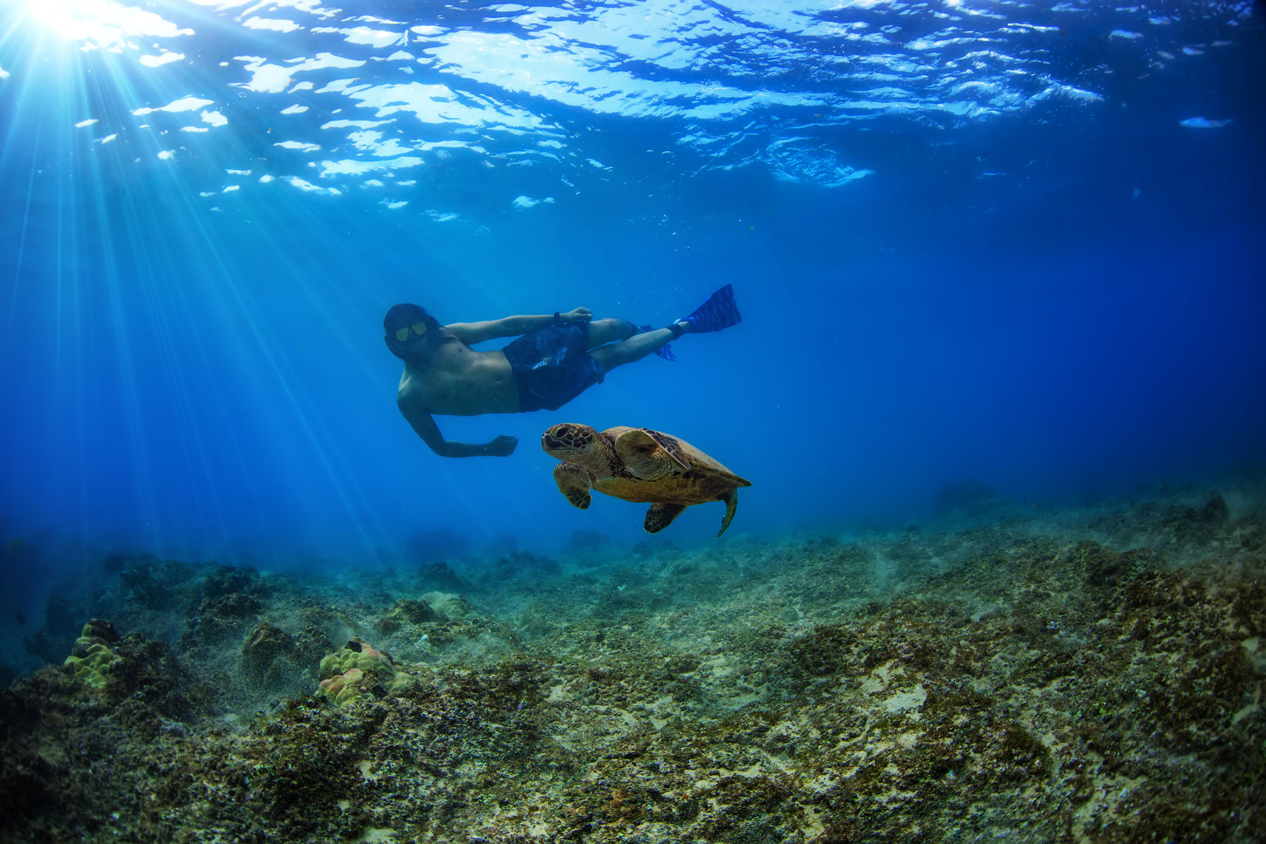 Best Snorkeling in Hawaii Insider Families