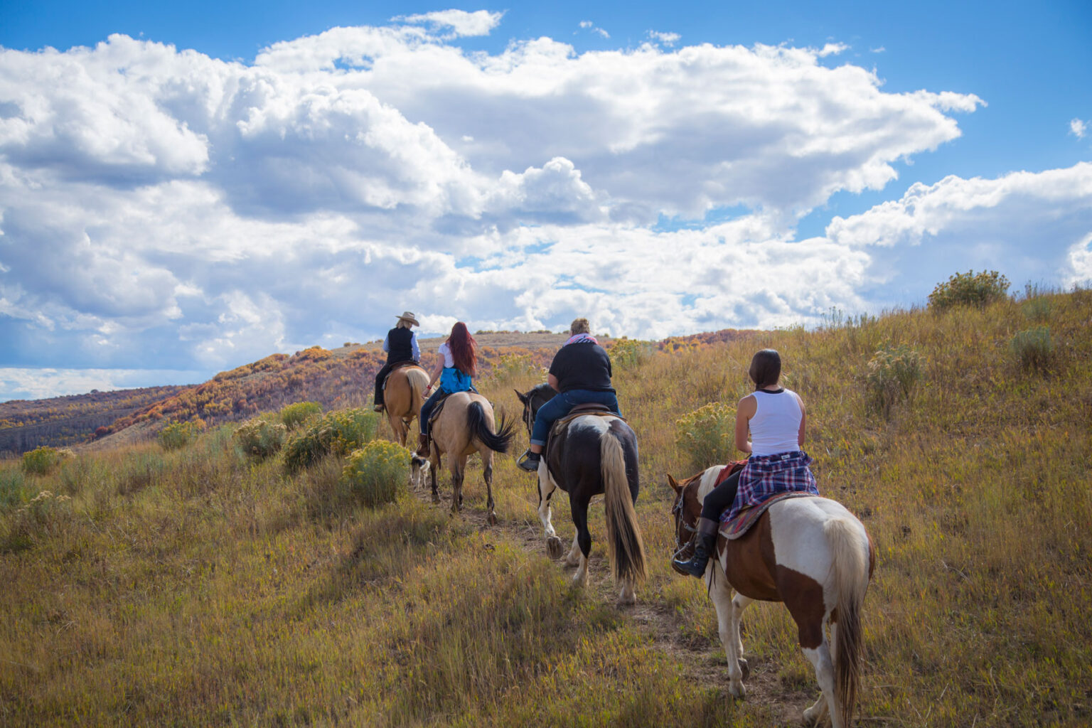 Horseback Riding in Steamboat Springs Insider Families
