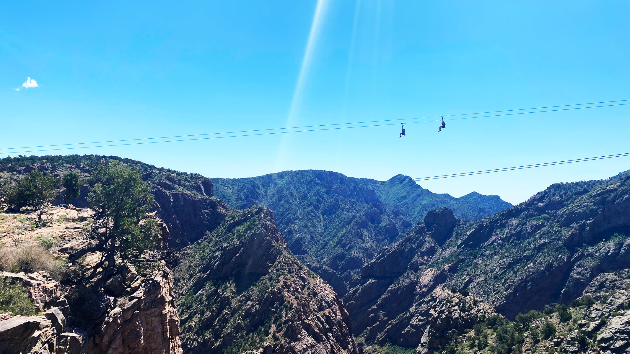 Zip Line Royal Yes, I did! Insider Families