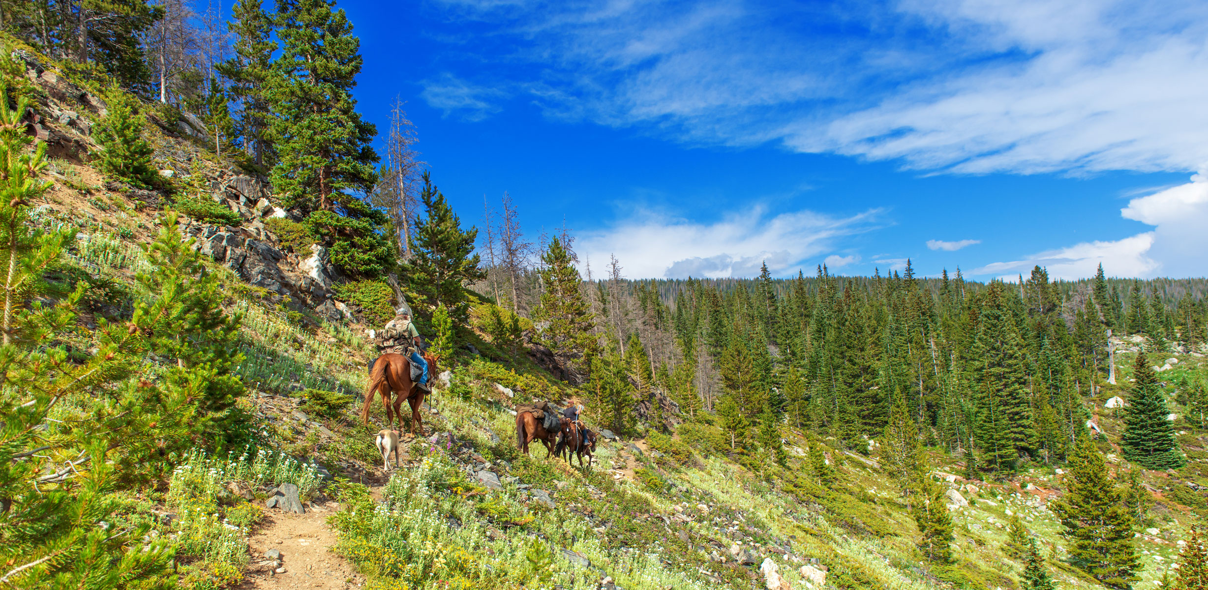 Fun Horseback Riding Estes Park Insider Families