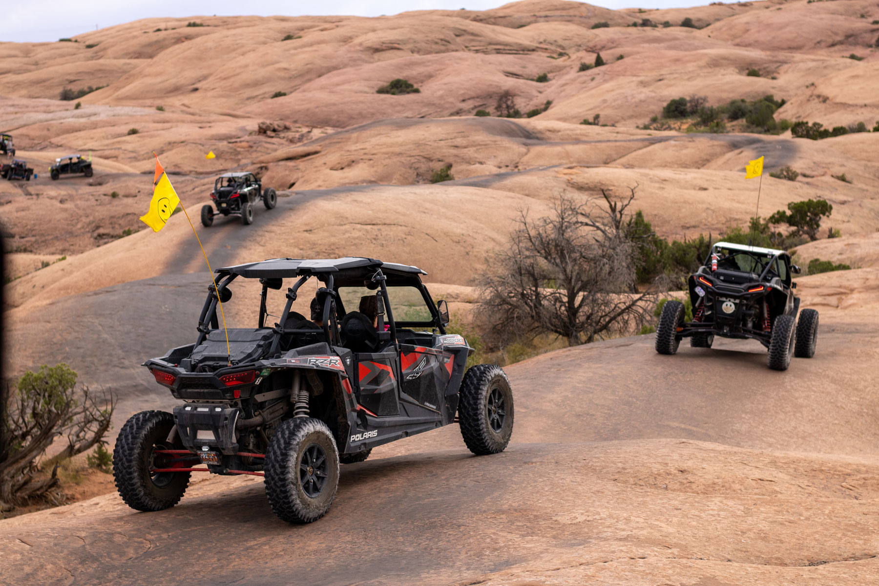 Moab Jeep Rental 3 Reasons to Rent a Jeep in Moab Insider Families